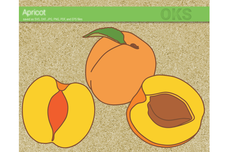 apricot-svg-svg-files-vector-clipart-cricut-download