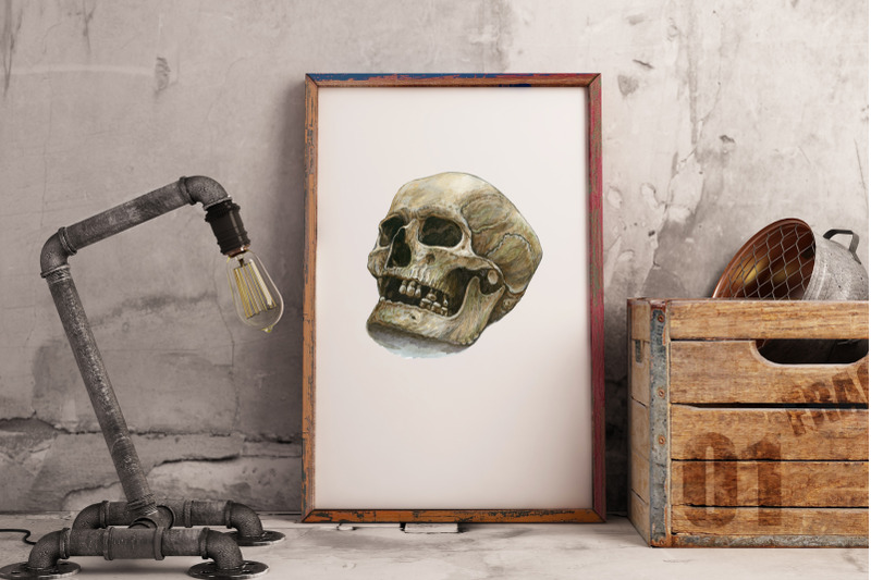 watercolor-human-skull
