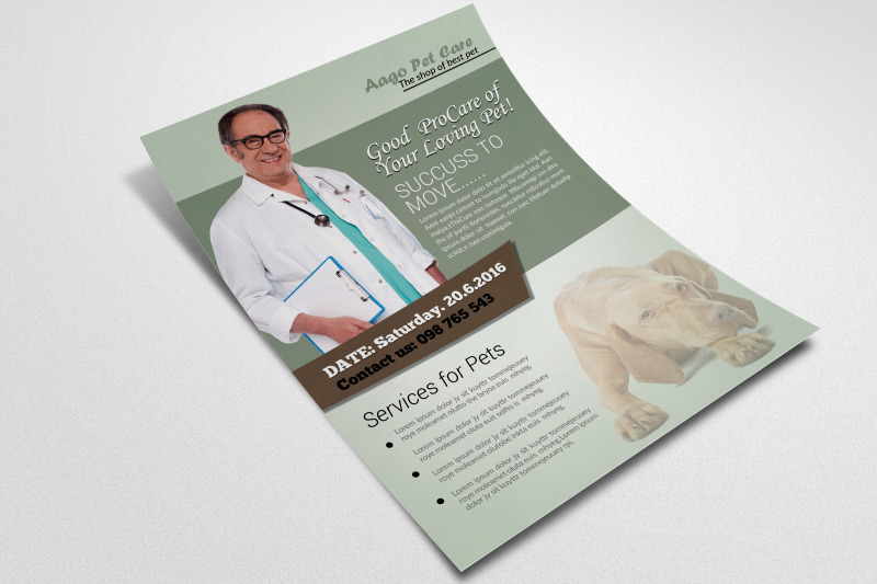 pet-care-amp-clinic-flyer-template