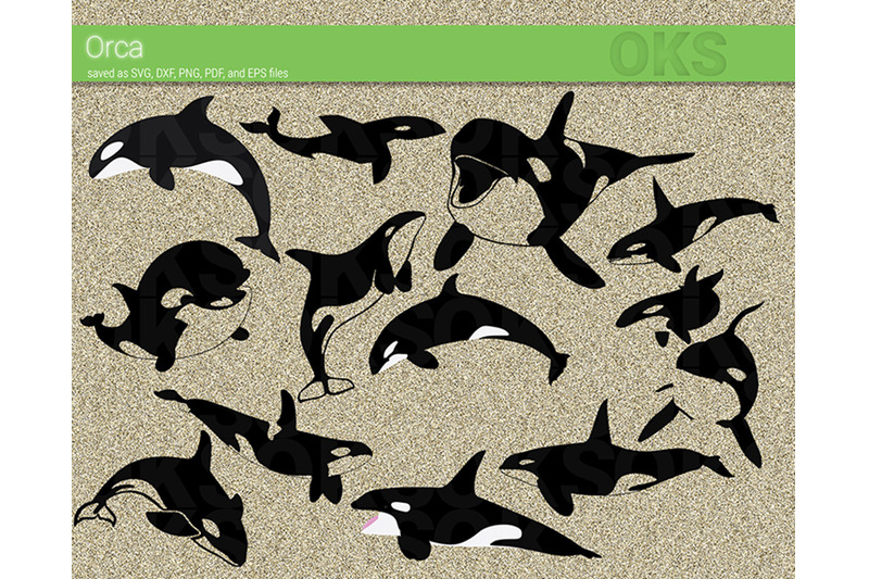 orca-svg-killer-whale-svg-files-vector-clipart-cricut-download