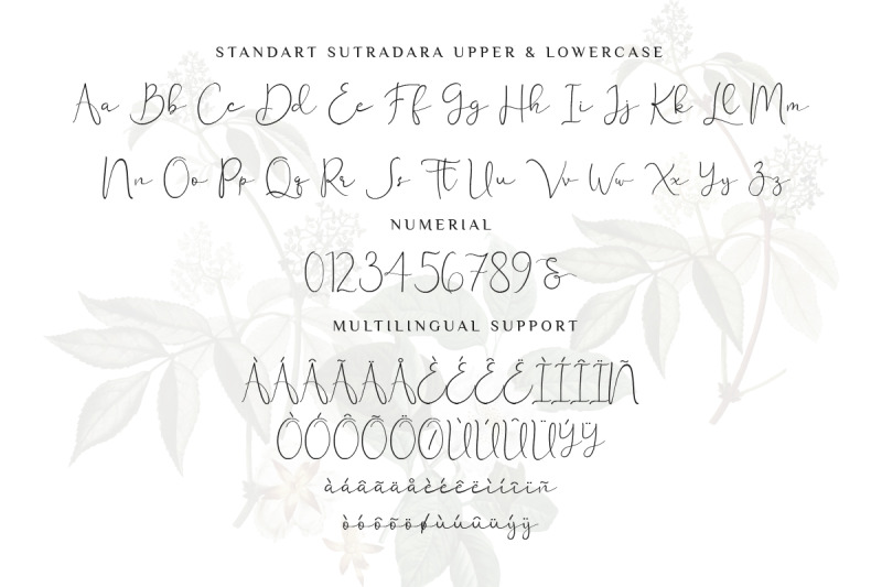 sutra-dara-elegant-calligraphy-font