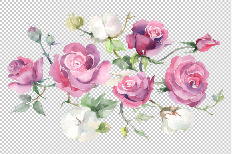bouquet-with-pink-nbsp-roses-and-cotton-watercolor-png