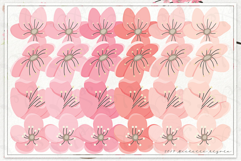 cherry-blossoms-04-pink-and-peach-vector-clipart