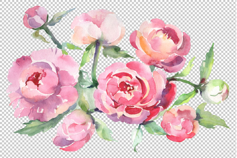 bouquet-with-peonies-watercolor-png