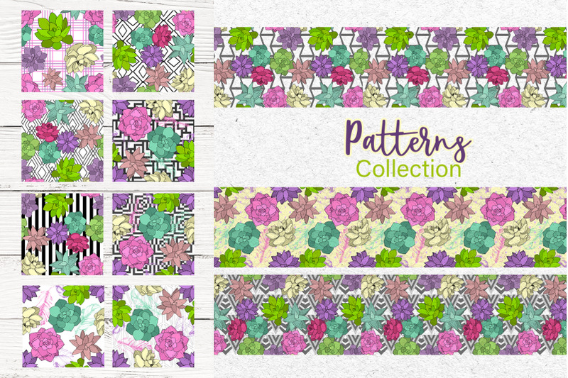 succulents-vector-set