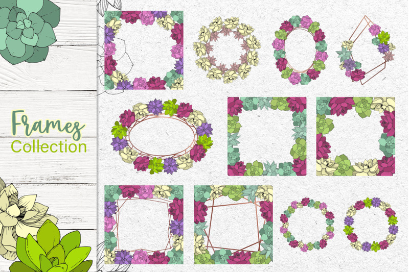 succulents-vector-set