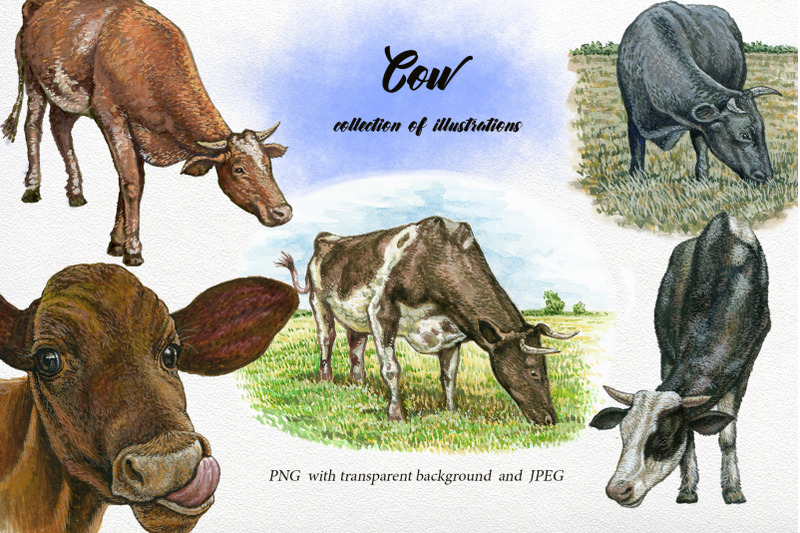 watercolor-cow-clipart-animals-clipart