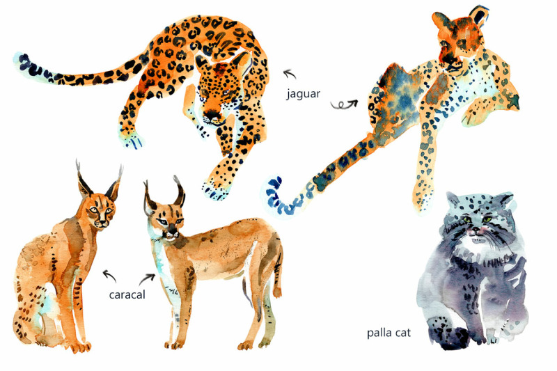 watercolor-wild-cats