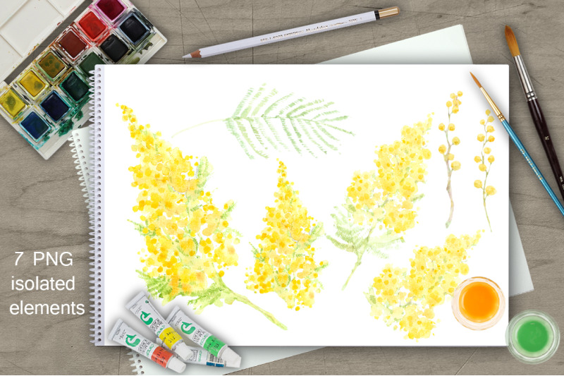 mimosa-watercolor-collection