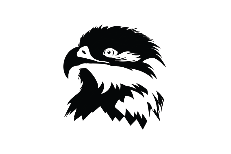 eagle-head-with-balck-and-white-colors
