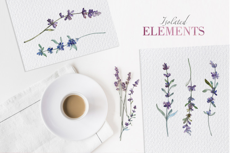 lavender-violet-watercolor-png