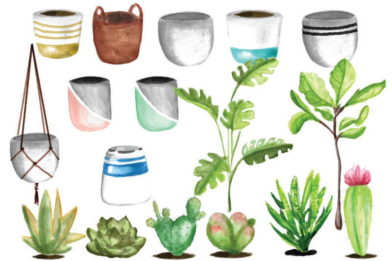 potted-plants-18-watercolor-illustrations