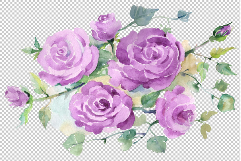 bouquet-with-purple-roses-watercolor-png