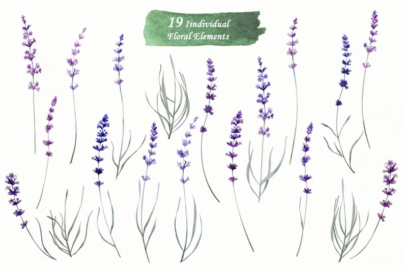 lavender-field-watercolor-set