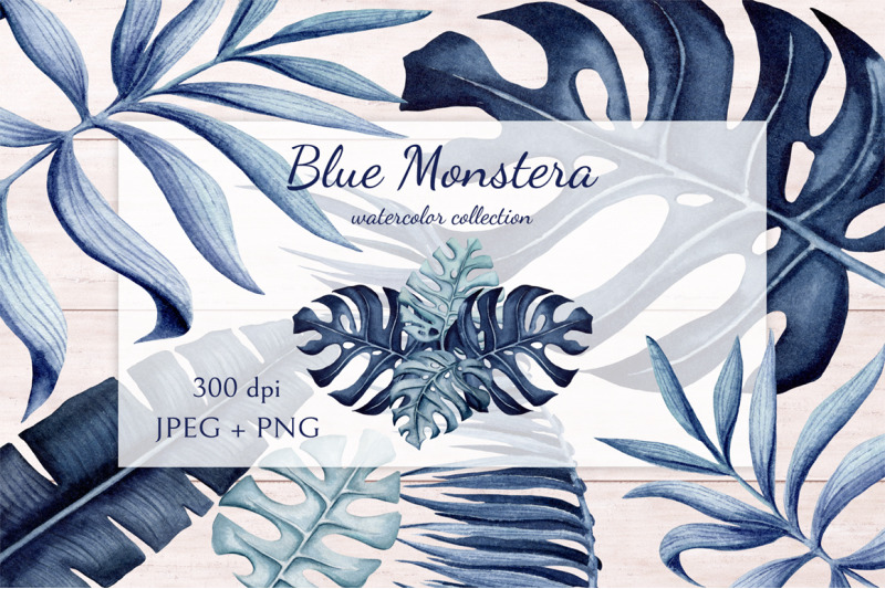 blue-monstera