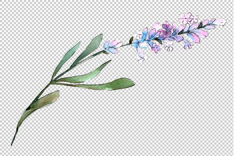 bouquet-of-idyll-lavender-watercolor-png