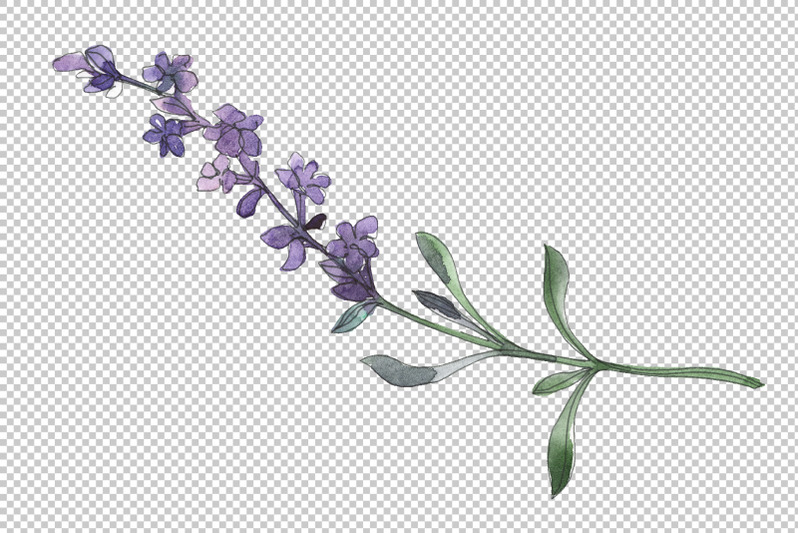 bouquet-summer-breeze-lavender-watercolor-png