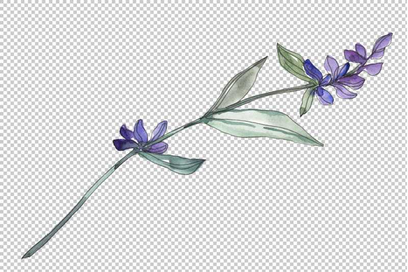 bouquet-summer-breeze-lavender-watercolor-png