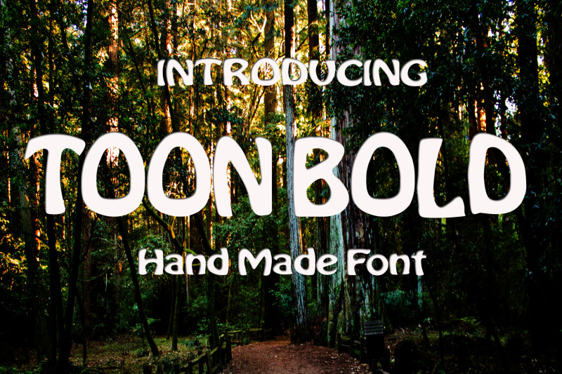 toon-bold-font