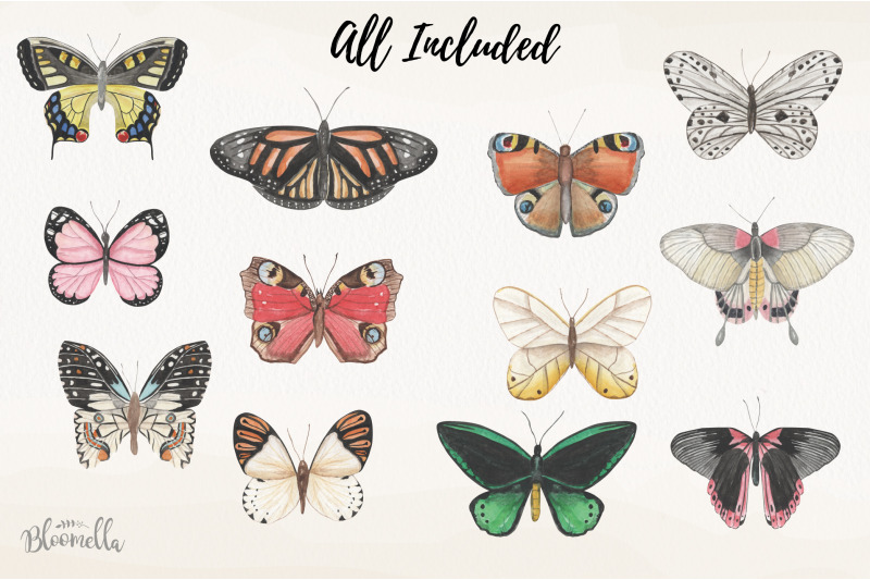 watercolor-butterfly-clipart-elements-butterflies-insects-painted-png