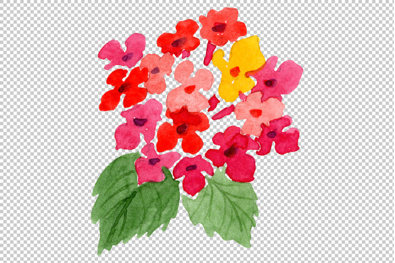 red-lantana-watercolor-png