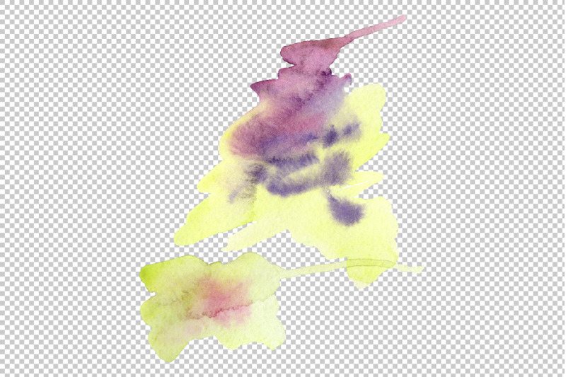 nautilus-leaf-begonia-watercolor-png