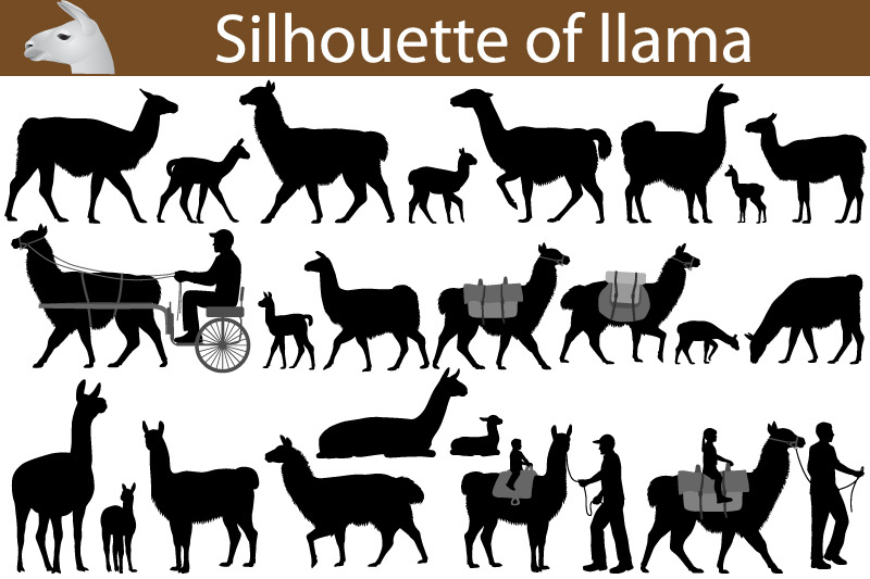 silhouette-of-llama
