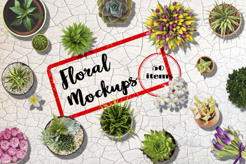 Free Floral Mockups. Flowers in pots and not only (PSD Mockups)