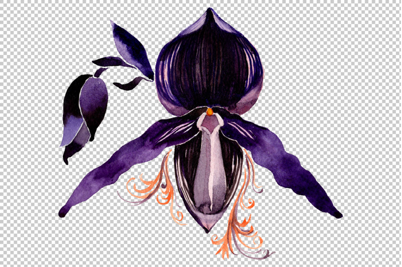 orchid-black-watercolor-png