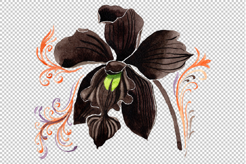 orchid-black-watercolor-png