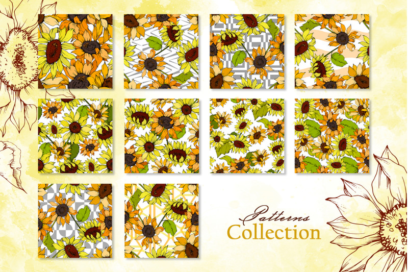 sunflower-vector-collection