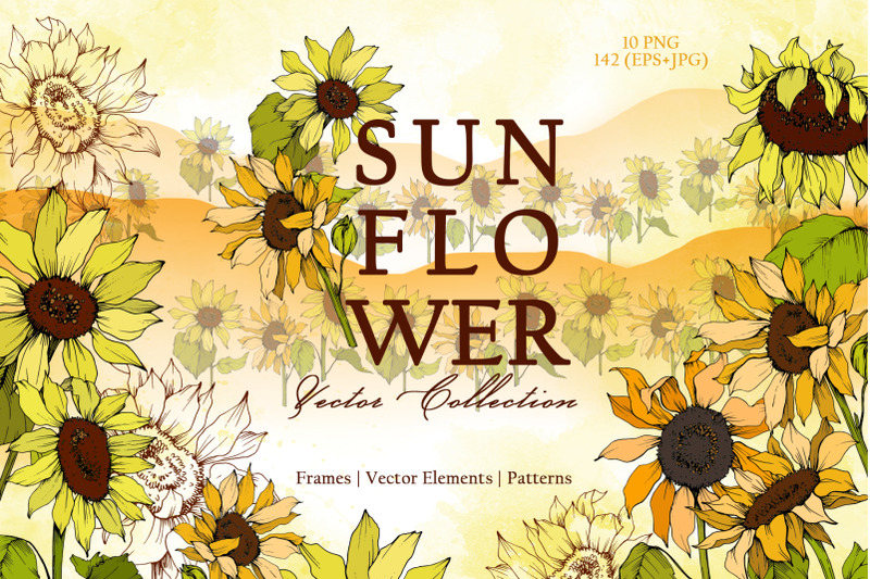 sunflower-vector-collection