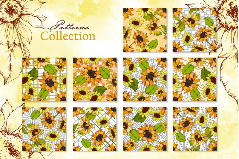 sunflower-vector-collection