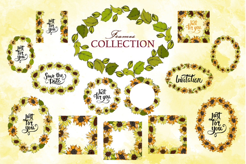 sunflower-vector-collection