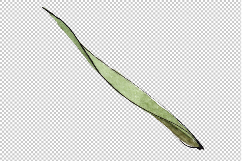 spike-of-wheat-watercolor-png