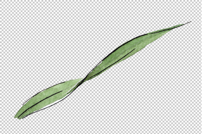 spike-of-wheat-watercolor-png