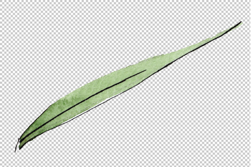 spike-of-wheat-watercolor-png