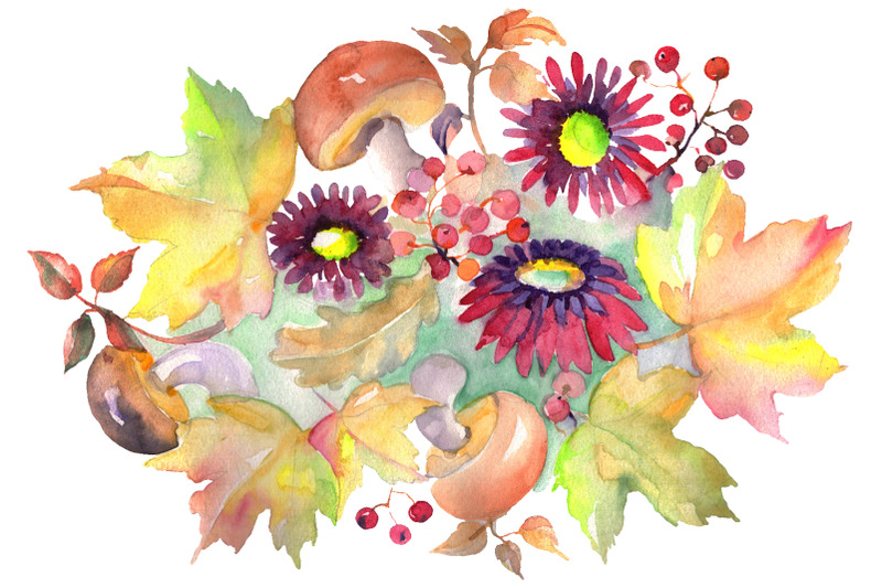 bouquet-with-asters-and-mushrooms-watercolor-png