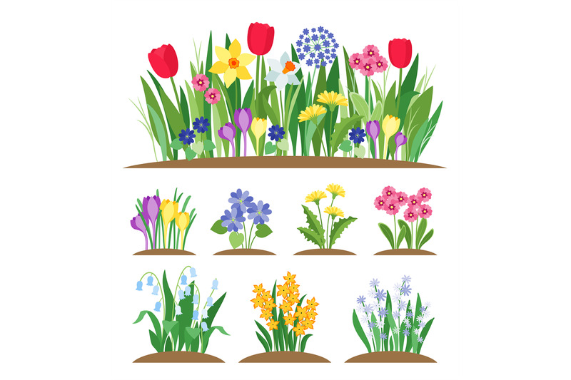 spring-garden-flowers-grass-and-plant-early-spring-flowering-vector