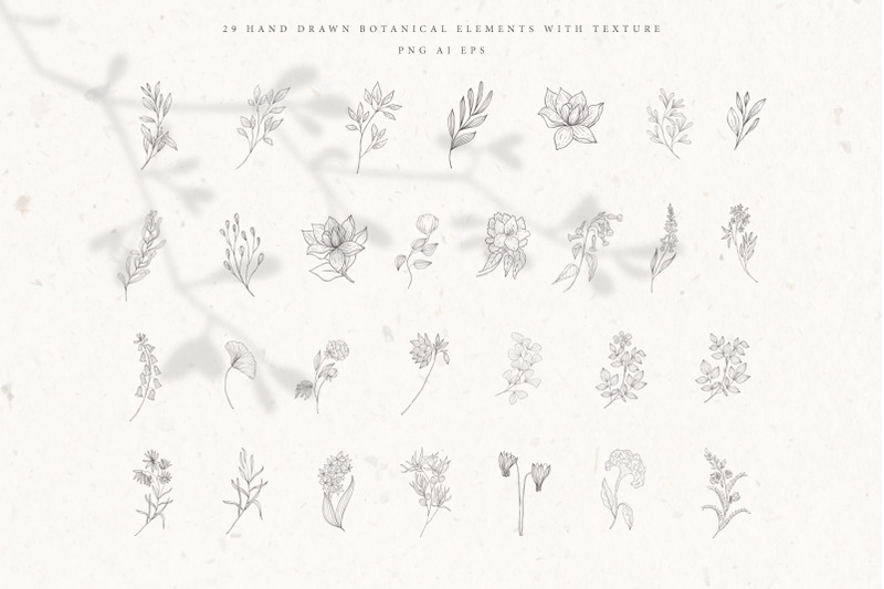 botanical-alphabet-and-monograms