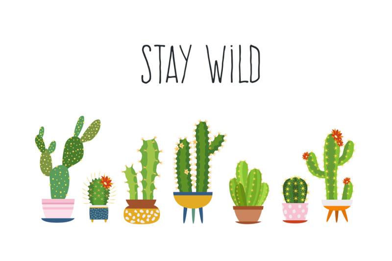 cactus-poster-succulents-cacti-exotic-cactuses-plants-sketch-trendy-t