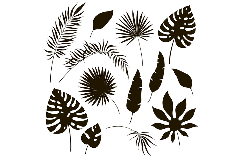 tropical-leaves-silhouettes-black-jungle-exotic-leaf-philodendron-pal