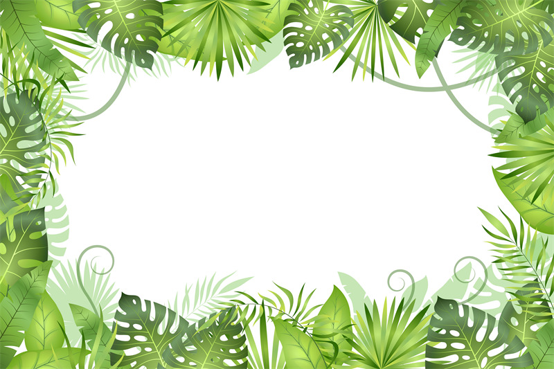 Jungle background. Tropical leaves frame. Rainforest foliage plants, g