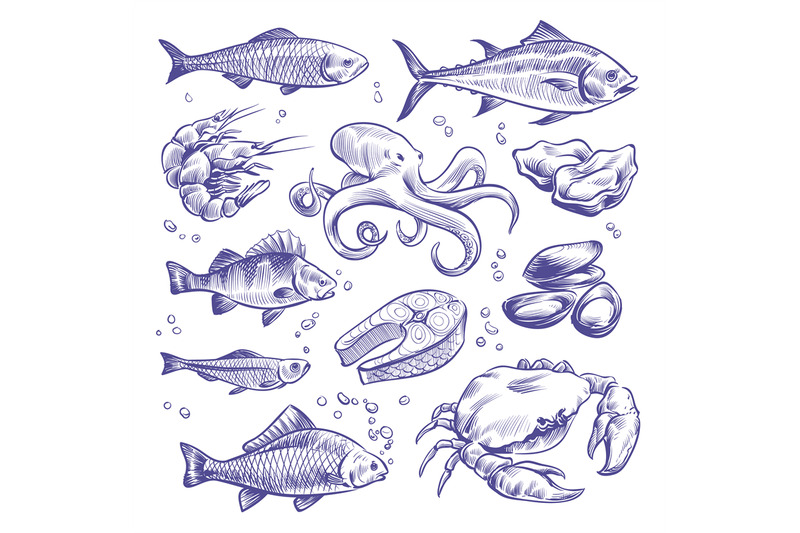 seafoods-hand-drawn-sea-fishes-oysters-mussels-lobster-squid-octopus