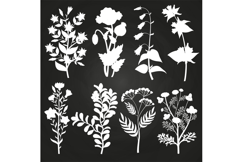 white-herbal-and-floral-silhouettes-on-chalkboard