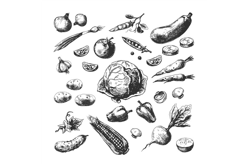 hand-drawn-vegetables-corn-tomato-potato-beet-carrot-onion-farm-gard