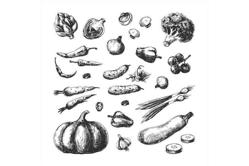 sketch-vegetables-pumpkin-cucumber-broccoli-carrot-onion-champignon-t