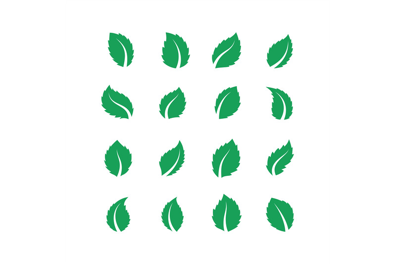mint-leaves-peppermint-melissa-green-leaf-fresh-eco-food-label-vega