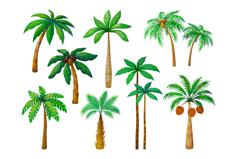 cartoon-palm-tree-jungle-palm-trees-with-green-leaves-coconut-beach