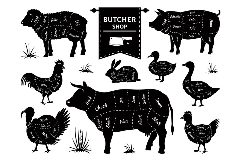 butcher-diagrams-animal-meat-cuts-cow-pig-rabbit-lamb-rooster-domest
